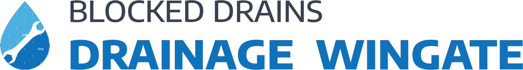 website logo